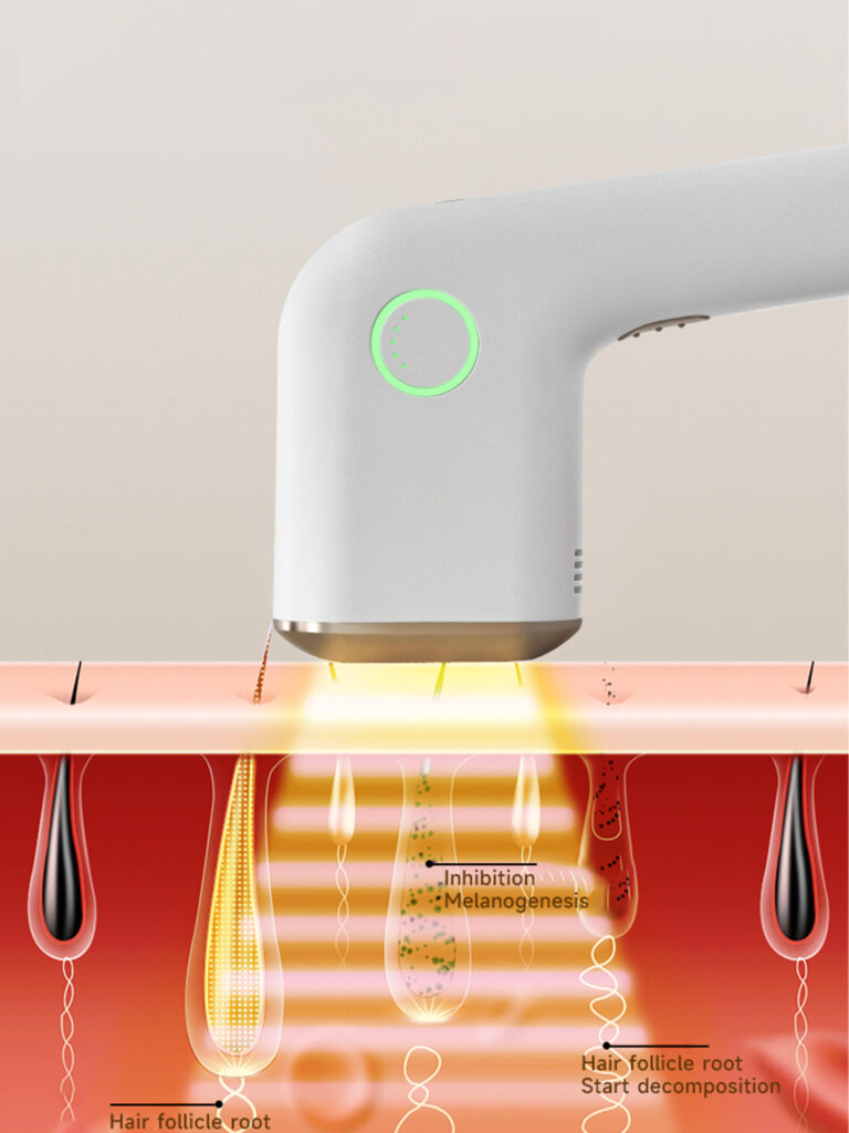Technology 8 L015 8